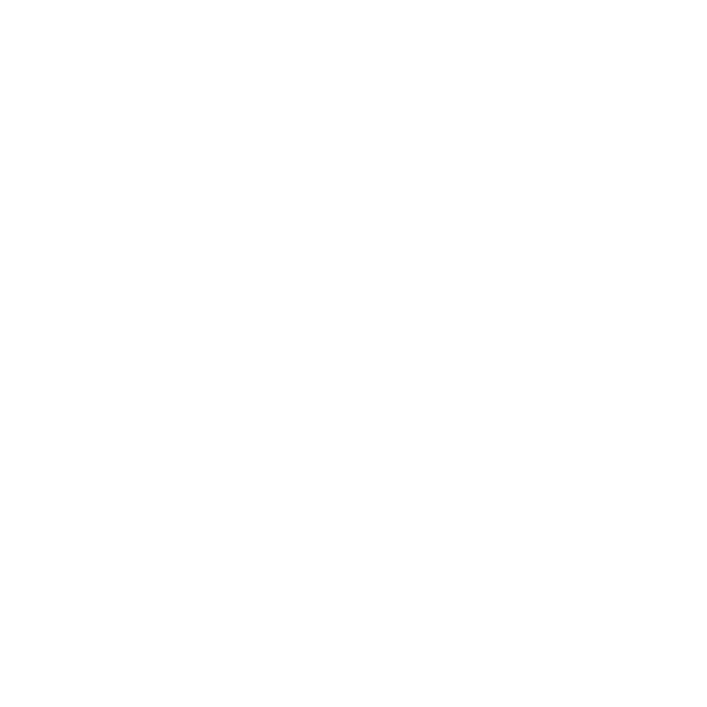 xAI logo
